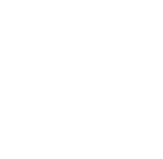 X icon